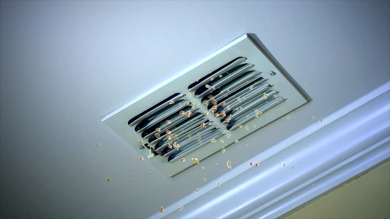 Best Ductwork Cleaning Services  in English Creek, NJ