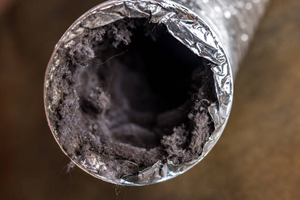 Best Best Air Duct Cleaning Company  in English Creek, NJ