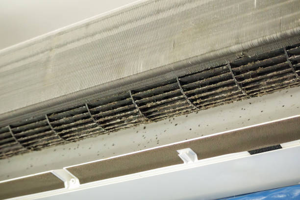 Best Affordable Duct Cleaning Services  in English Creek, NJ